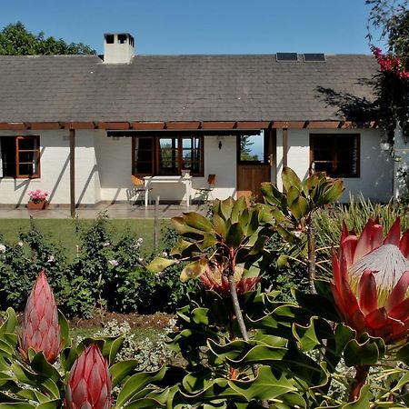 Heatherhill Farmhouse - Sea & Mountain Views Plettenberg Bay Kültér fotó